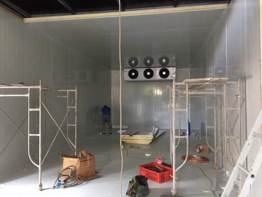 cong-trinh-kho-lanh-tai-hai-phong-1 (43)