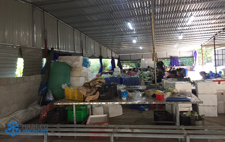 lap-dat-kho-lanh-bao-quan-rau-cho-ho-kinh-doanh-tai-ha-nam-1