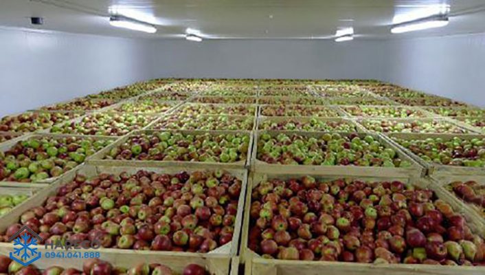 Kho lạnh bảo quản trái cây