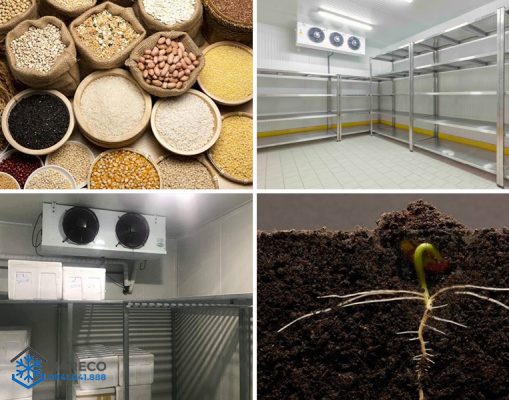 Kho lạnh bảo quản hạt giống