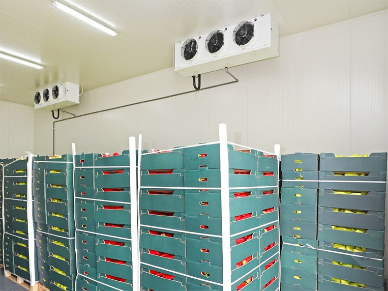 Kho lạnh thương mại